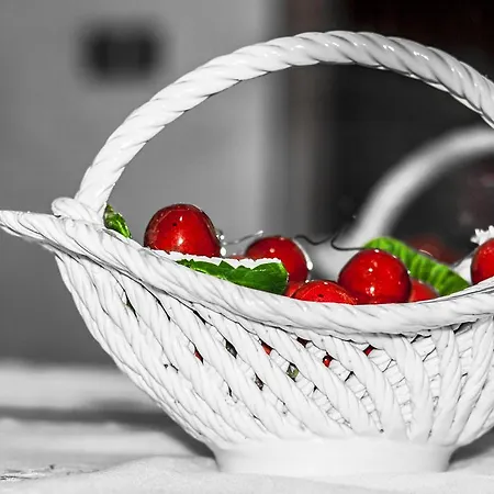 Garrupa Bed and breakfast Marcellinara